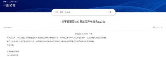 long8：上交所系统崩了？神州信息：仅提供软件维保服务故障与公司无关