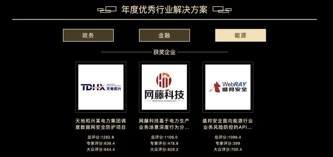 重磅嘶吼2024网络安全“金帽子”年度评选活动结果公示(图6)