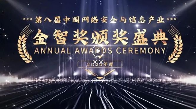 龙8国际：观成科技荣获2024年度“金智奖”创新解决方案奖(图1)