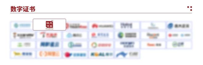 龙8国际：10项细分领域！天威诚信实力入选中国网络安全行业全景册（第七版）(图3)