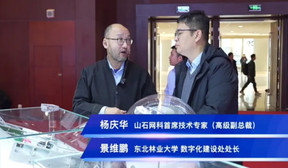 芯山石信安全！2024山石网科基础设施安全回顾(图4)