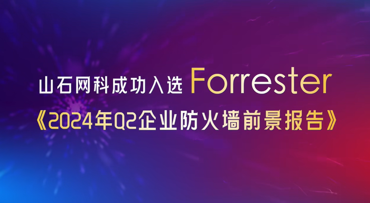 芯山石信安全！2024山石网科基础设施安全回顾(图11)