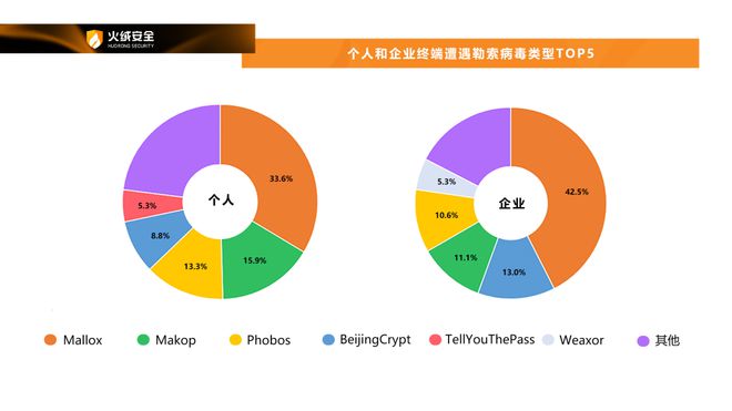 long8：火绒安全2024年终端安全洞察报告(图8)