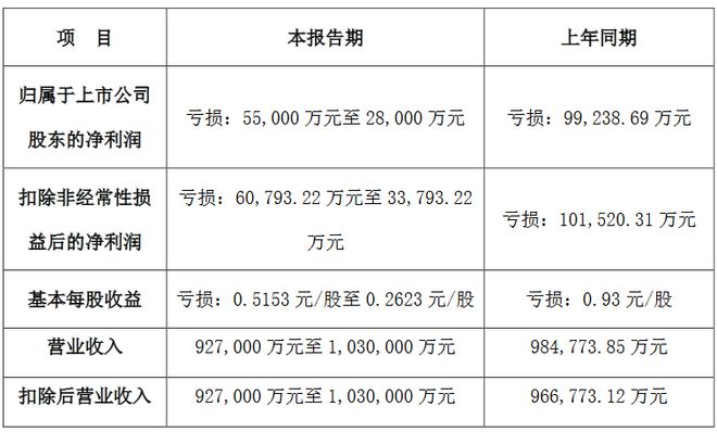 龙8国际：京东方鸿利智汇海信视像乾照等8企2024年业绩预告一览(图7)