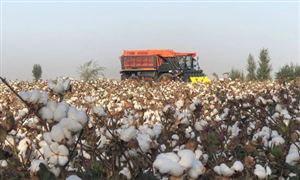 2024年中国计算机系统集成行业产业链上下游结构及发展趋势(图3)