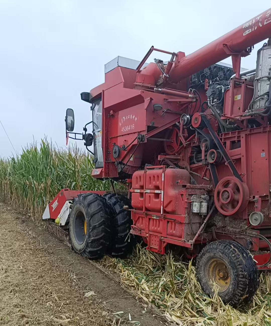 河南“烂秋雨”还没停秋收情况如何？有哪些解决办法？记者实地走访(图3)