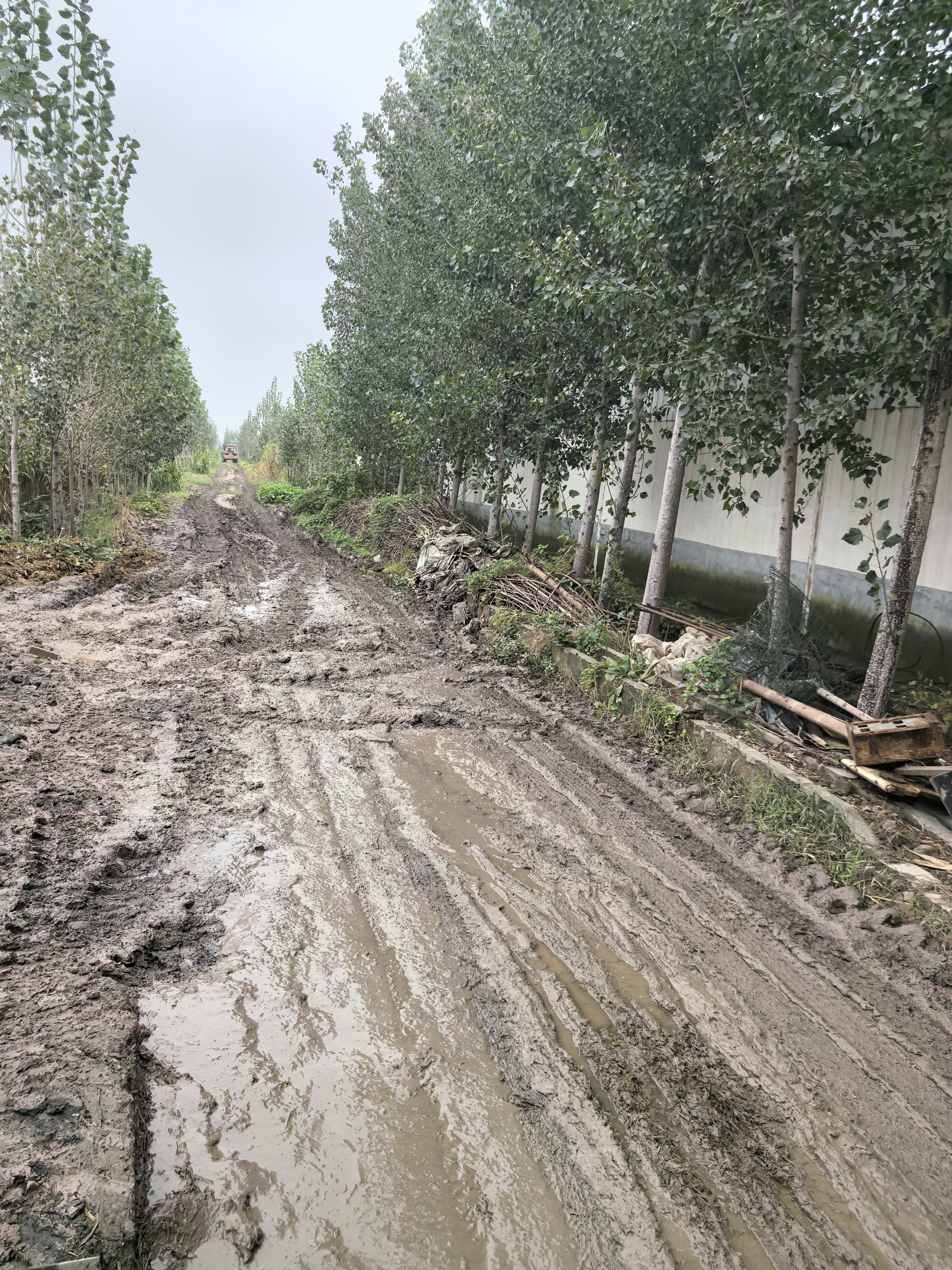河南“烂秋雨”还没停秋收情况如何？有哪些解决办法？记者实地走访(图1)