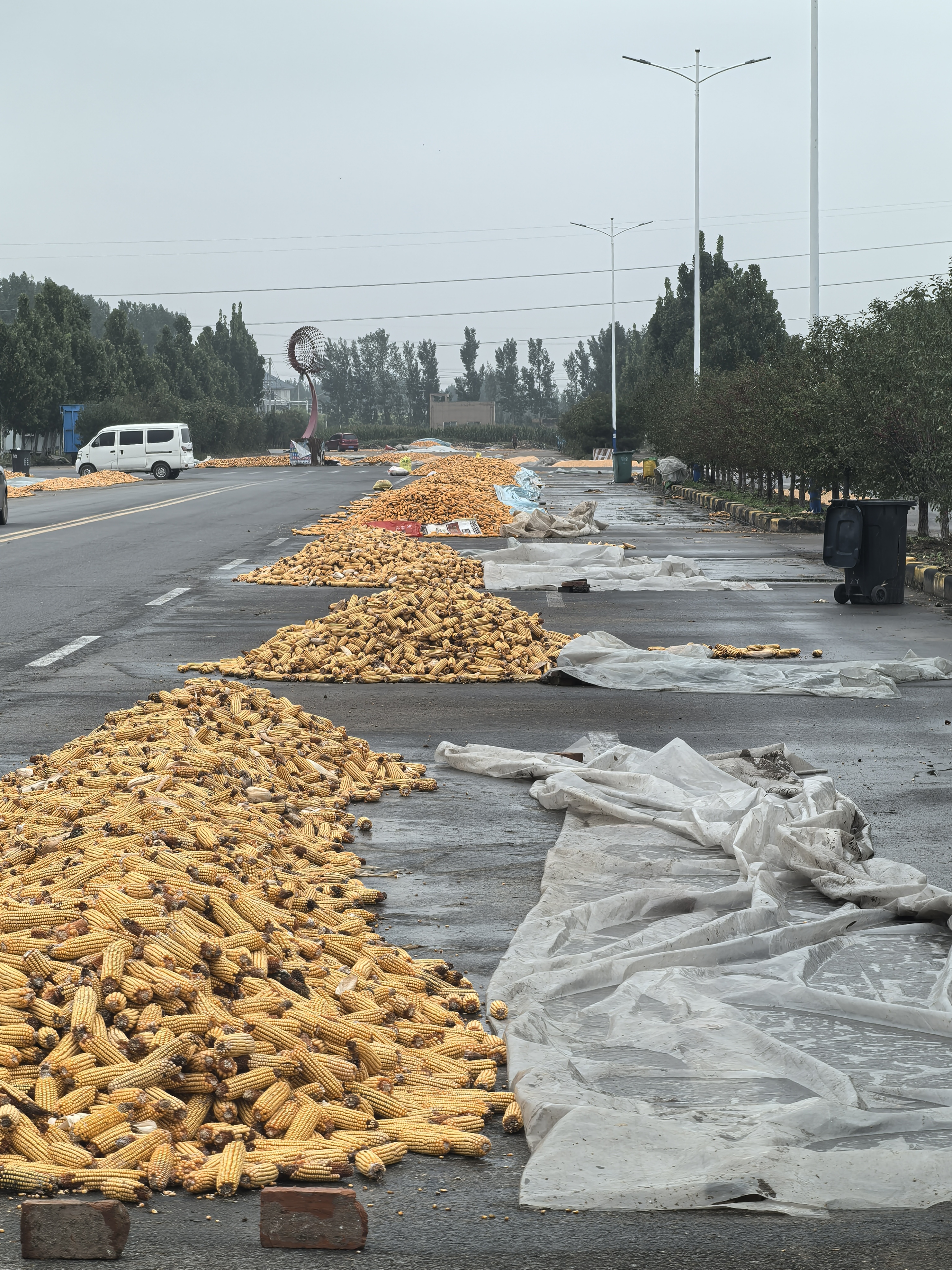 河南“烂秋雨”还没停秋收情况如何？有哪些解决办法？记者实地走访(图10)