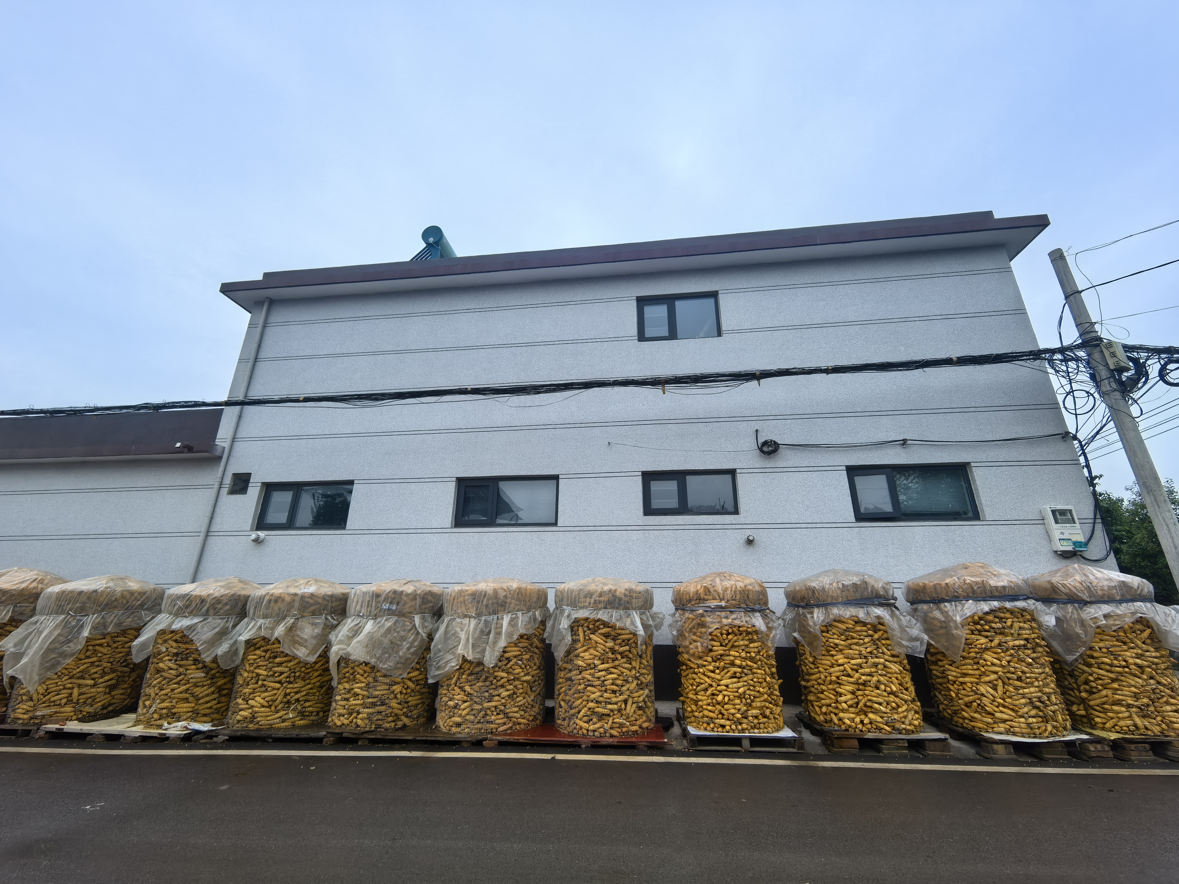 河南“烂秋雨”还没停秋收情况如何？有哪些解决办法？记者实地走访(图12)