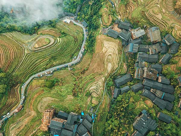long8：广发银行重庆分行：深耕拓业力助实体经济蓬勃发展(图4)