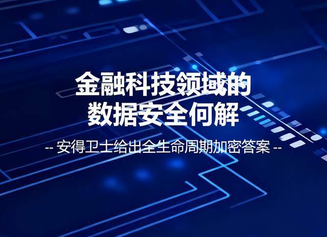 金融科技行业数据安全解决方案