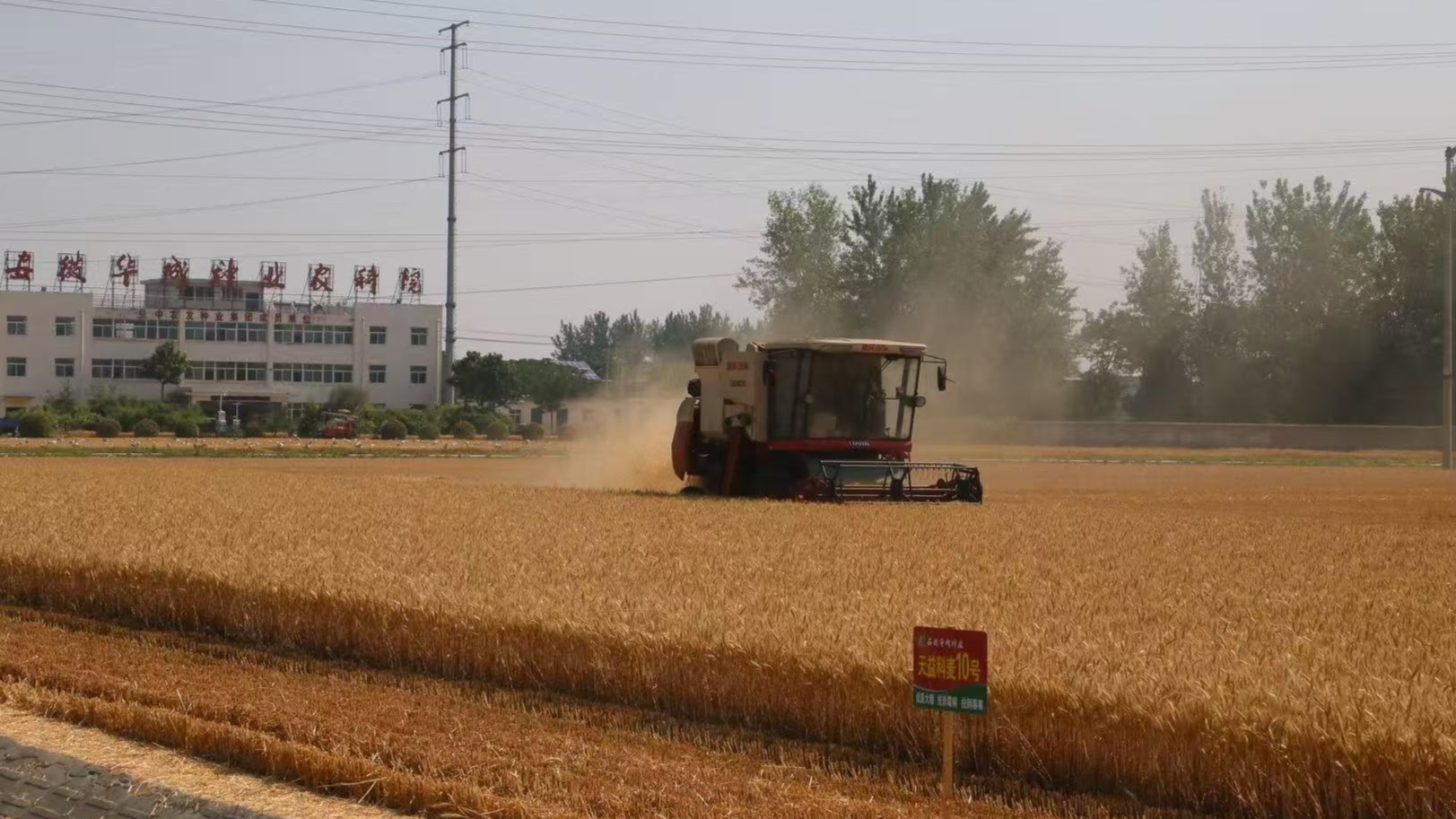 跨越从一粒良种到万顷丰仓解锁大国粮仓“科技密码”(图1)