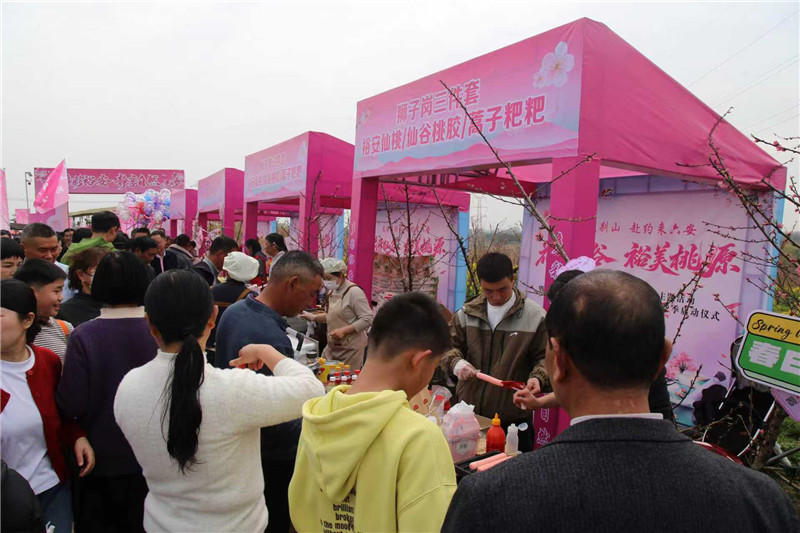 long8：六安市2026年融合发展行动计划暨产业发展项目库正式启动(图7)