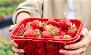 long8：信息系统集成行业发展空间及投资潜力(图7)