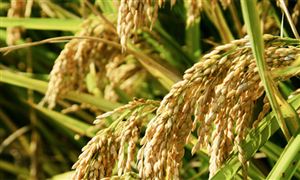 long8：信息系统集成行业发展空间及投资潜力(图6)